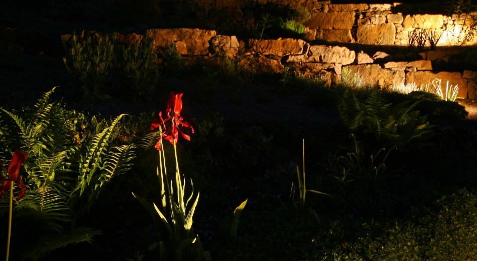 Schröer Garten- und Landschaftsbau zeigt eine beleuchtete Mauer